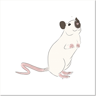 Siamese Rat Posters and Art